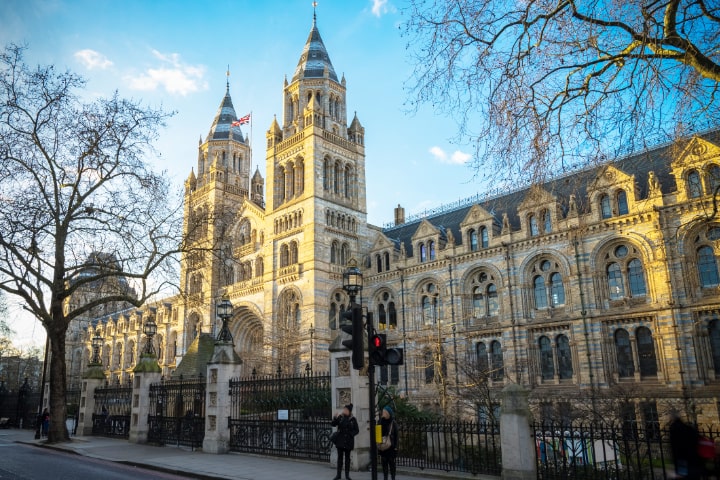 ロンドンの自然史博物館の見どころガイド ゾーンマップあり Tanks London